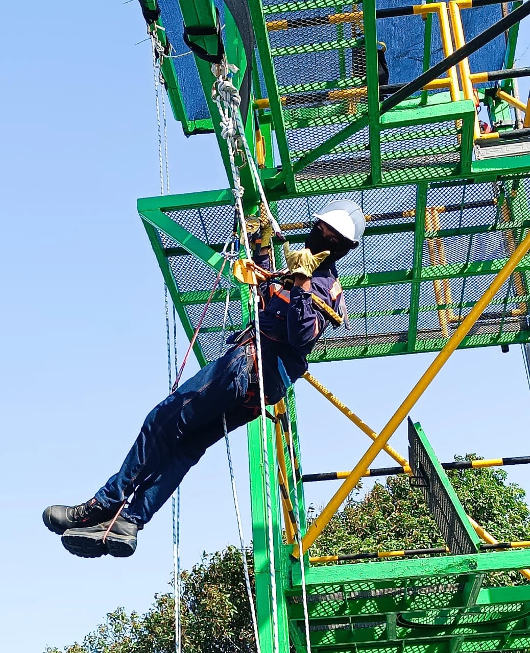 Jefe de Área